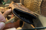 Wallets - Cane Toad Skin Wallet